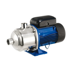 Pompe électrique centrifuge LOWARA 0,75 HP
