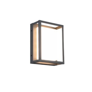 Applique LED extérieure Witham anthracite avec réglage de la lumière blanc chaud/froid IP44 H. 24cm