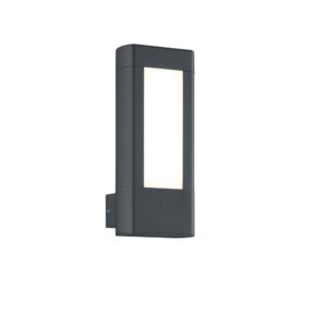 Rhine Applique LED Anthracite H.25X10,5