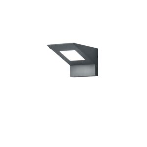 Applique extérieure LED Nelson anthracite IP54 H. 10cm