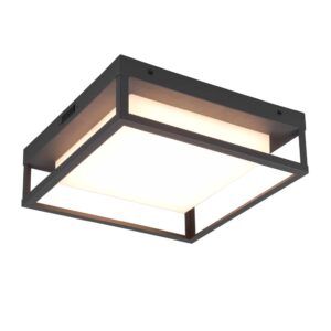Plafonnier LED extérieur Witham anthracite avec réglage de la lumière chaude/froide IP44 L.30 cm