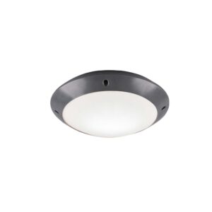 Camaro Plafonnier Extérieur en Métacrylate Noir D. 26cm IP54