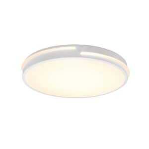 Tacoma Plafonnier LED avec bord blanc et télécommande multifonction D.40cm