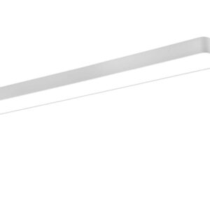 Asterion Plafonnier LED Rectangulaire Bord Blanc Avec Télécommande Multifonction 120X15