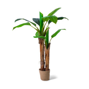 Banana Tree - Plante artificielle en pot H150 cm
