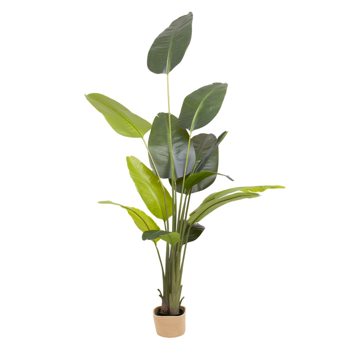 Traveller Banana 210 - Plante artificielle décorative de bananier tropical H210 cm pour l'intérieur et l'extérieur avec pot Beige