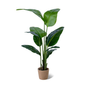 Traveller Banana - Plante artificielle en pot H160 cm